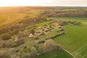 Evening Light Landscape Photography Drucke: Extensive green fields with scattered trees in soft evening light