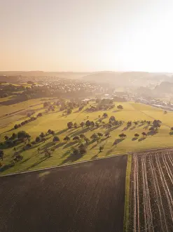 Sunset Aerial View Drucke: Extensive landscape with fields and scattered standing trees at sunset