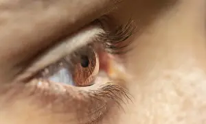Close Up Female Face Drucke: Eye, brown, macro, Germany