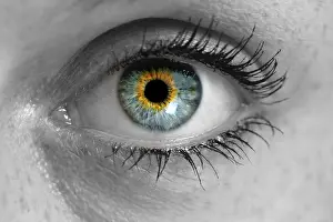 Macro Photography Of Eyes Drucke: Eye looking at viewer concept background macro