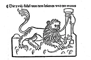 Panthera Leo Pictures Drucke: The Fable of the Lion and the Mouse