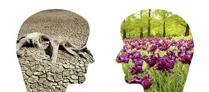 Global Warming Impact Drucke: Two faces, one with a dry desert