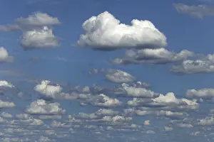 Cumulus Humilis Clouds Drucke: Fair weather clouds, cloud clusters