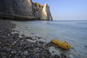 Alabaster Coast France Drucke: Falaise d'Aval chalk cliffs