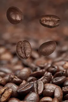 No People Coffee Scene Drucke: Four falling beans and roasted coffee beans background with focus foreground