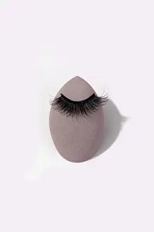 Hygienic Cosmetics Drucke: False eyelashes gracefully rests on a makeup sponge