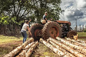Agricultural Machine Drucke: A family working in the fields