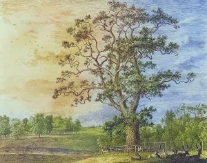 British History Landmarks Drucke: Famous old trees