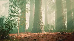 Drucke von Fantasiefeuerfliegenlichter im magischen Wald Glühwürmchen Drucke: Fantasiefeuerfliegen-Leuchten im magischen Wald.