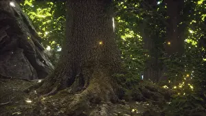 Drucke von Fantasiefeuerfliegenlichter in der magischen Wald Glühwürmchen Drucke: Phantasiefeuerfliegenlichter im magischen Wald.