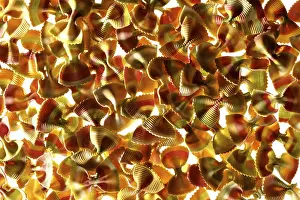 Full Frame Studio Shots Drucke: Farfalle