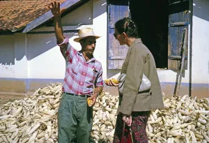 Rural Farm Life Drucke: Farmer growing sweetcorn explains to a visitor