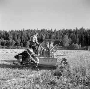 Antique Farm Machinery Drucke: Farming in the 1950s
