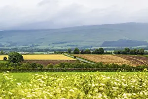 Uninhabited English Countryside Drucke: Farms and Fields over Hartside Pass