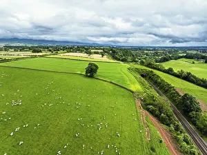 Top Down View Of Farm Fields Drucke: Farms and Fields over River Eden and River Eamont from a drone