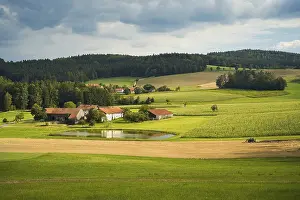 Upper Palatinate Landscape Drucke: Several farms and a pond, surrounded by fields