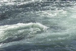 Neuhausen Am Rheinfall Drucke: Fast currents in Rhine Falls in spring