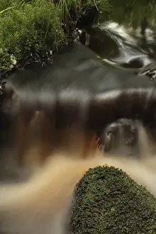 Waterfall Landscape Photo Drucke: Fast mountain stream, cascade water