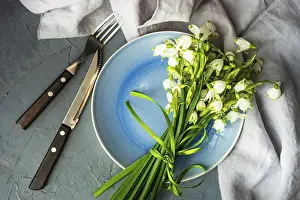 Early Spring Blooming Flowers Drucke: Feastive table setting for holiday Easter dinner decorated with spring snowdrop flowers on rustic table with copy space