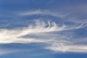 Cirrus Clouds Drucke: Feather clouds, cirrus in the blue sky