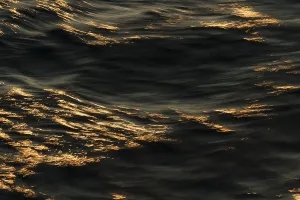 Northern Europe Evening Light Drucke: Reflections of the setting sun on the water surface