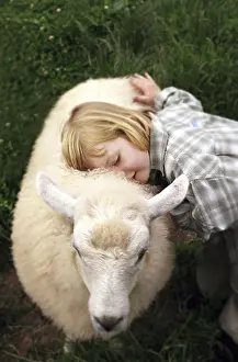 Childhood Memories Drucke: Feeling softness - a soft sheep