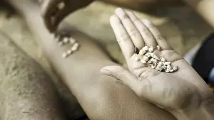Nature Photography Details Drucke: Female hands collect pattern of shells and sand