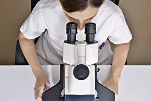 Female Scientist Microscope Drucke: Female scientist using a microscope in a laboratory