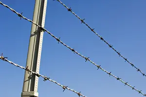 Barbed Wire Fence Drucke: Fence