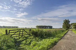 Cloudless Sky Germany Drucke: Fence, gate, path, Drochtersen
