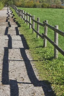 Bavarian Countryside Scene Drucke: Fence with a shadow along the promenade path
