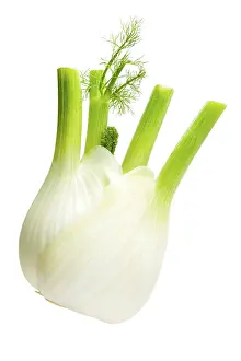 Studio Environment For Food Photography Drucke: Fennel