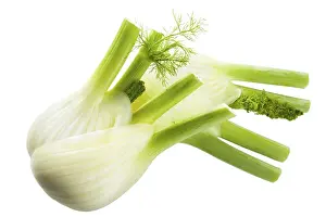 Studio Background For Food Photos Drucke: Fennel