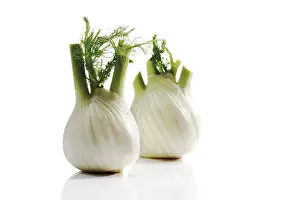 Food Photography Studio Background Drucke: Fennel