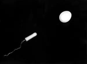 Fertilization Process Drucke: Fertilization