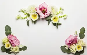 White Background Flowers Drucke: Festive flower composition on the white background