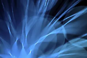 Uninhabited Places Images Drucke: Fibre Optic Abstract