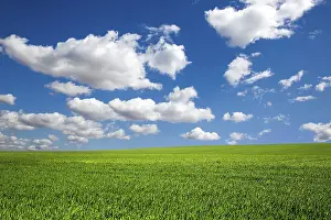 Blue Sky Landscape Drucke: Field on a background of the blue sky