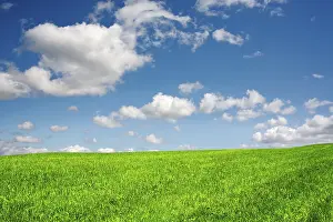 Blue Sky Landscape Drucke: Field and blue sky