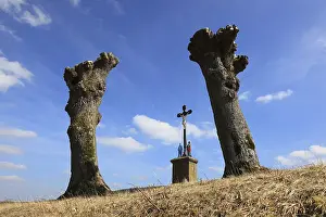 Christian Art Bavaria Drucke: Field cross between pollarded willows after pruning