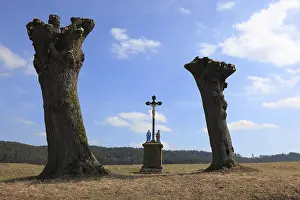 Christian Art Bavaria Drucke: Field cross between pollarded willows after pruning