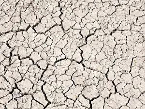 Empty Agricultural Land Drucke: Field dried up and torn open due to drought