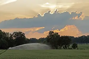 Lower Saxony Agriculture Drucke: Field irrigation, sun behind cloud