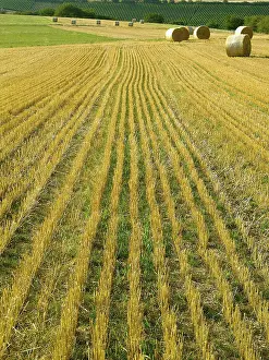 Field Landscape Photography Drucke: Field landscape