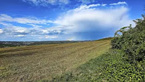 Bilder Datiert 26. April 2024: Cloudy field print