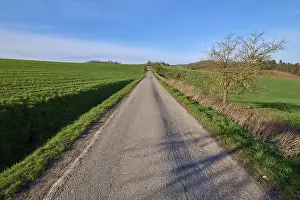 Deciduous Tree Landscape Photo Drucke: Field path, fruit tree, grain field