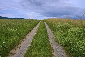 Deserted Country Lane Drucke: Field path between green meadows under a cloudy sky