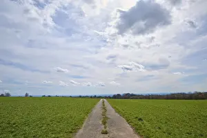 Deserted Country Lane Drucke: Field path, meadow, clouds, spring