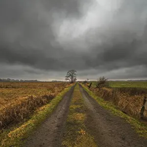 Northern Germany Cloudy Skies Drucke: Field path, meadow landscape, cloudy