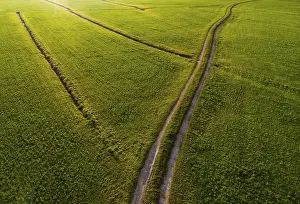 Aerial Landscape Photo With Drone Drucke: Field path through mowed meadow